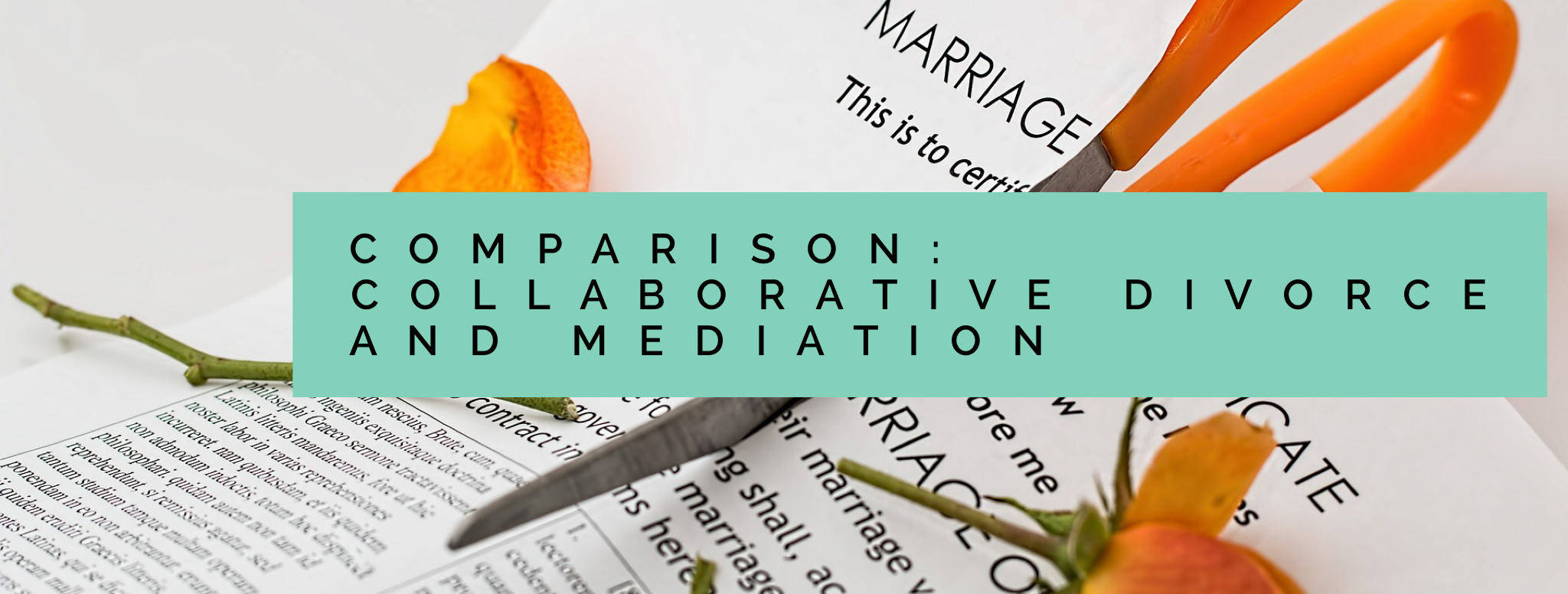 Mediation Compared to Collaborative Divorce Family Diplomacy A
