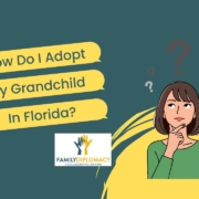 Adoption2 - Family Diplomacy | A Collaborative Law Firm
